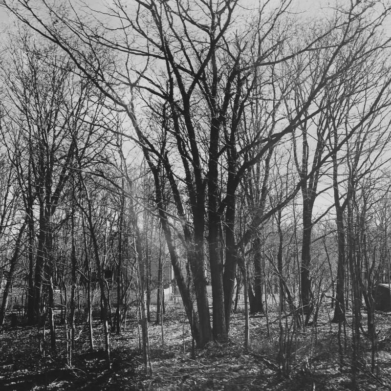 OriginalPhoto-479058409.855048