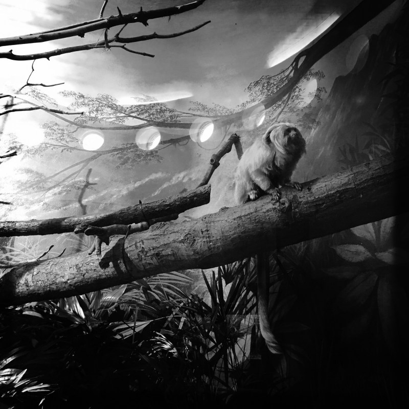 tears before bedtime